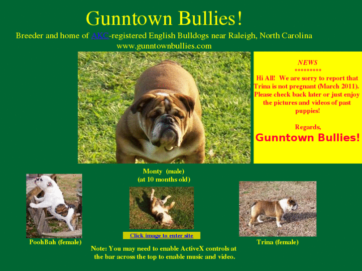 www.gunntownbullies.com