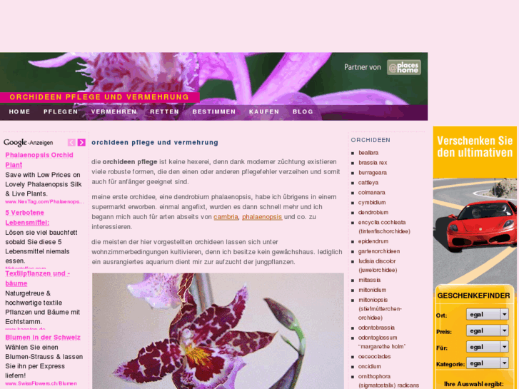 www.orchideen-pflege.eu