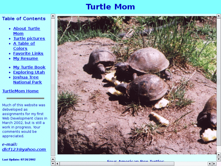 www.turtlemom.com