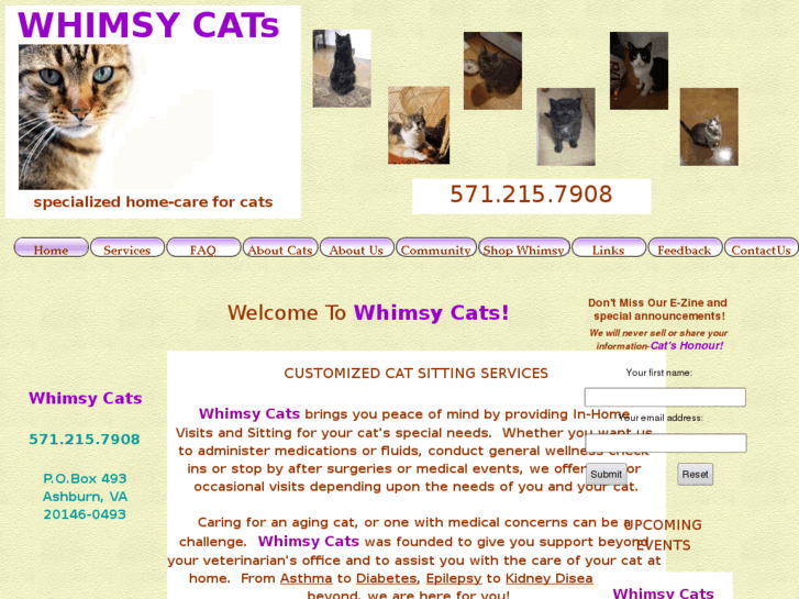 www.whimsycats.com