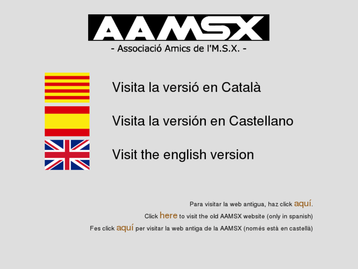 www.aamsx.com