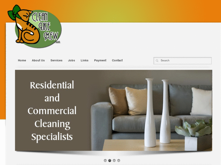 www.cleanlikemew.net
