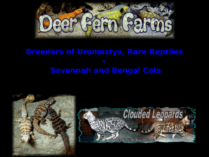 www.deerfernfarms.com