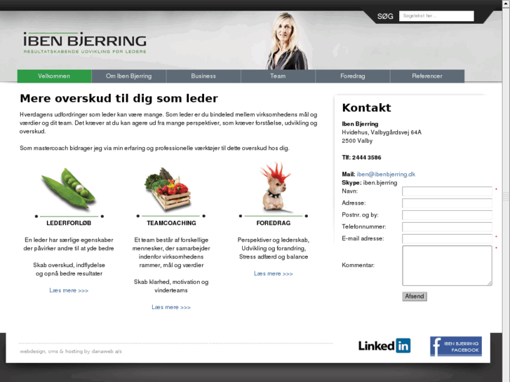 www.ibenbjerring.com