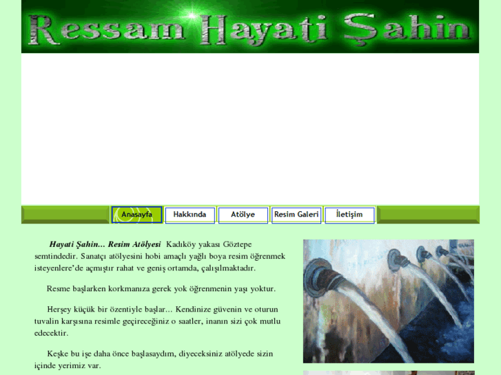 www.ressamhayatisahin.com