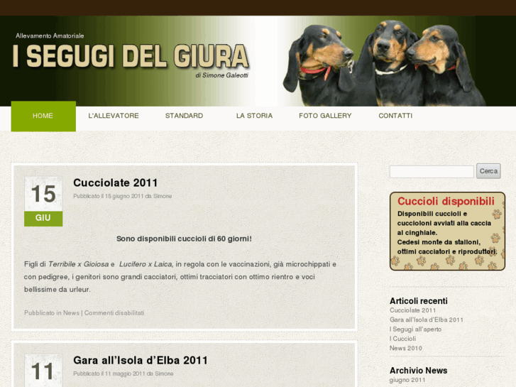 www.segugidelgiura.com