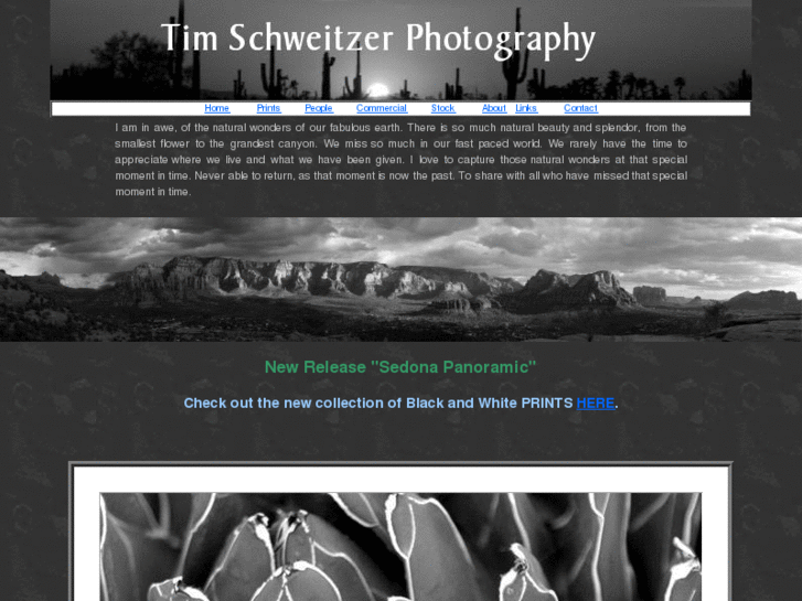 www.timschweitzer.com