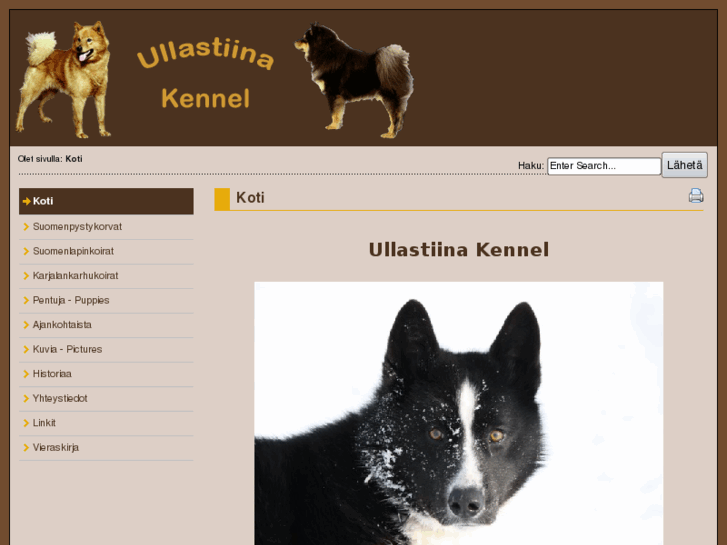 www.ullastiina.net