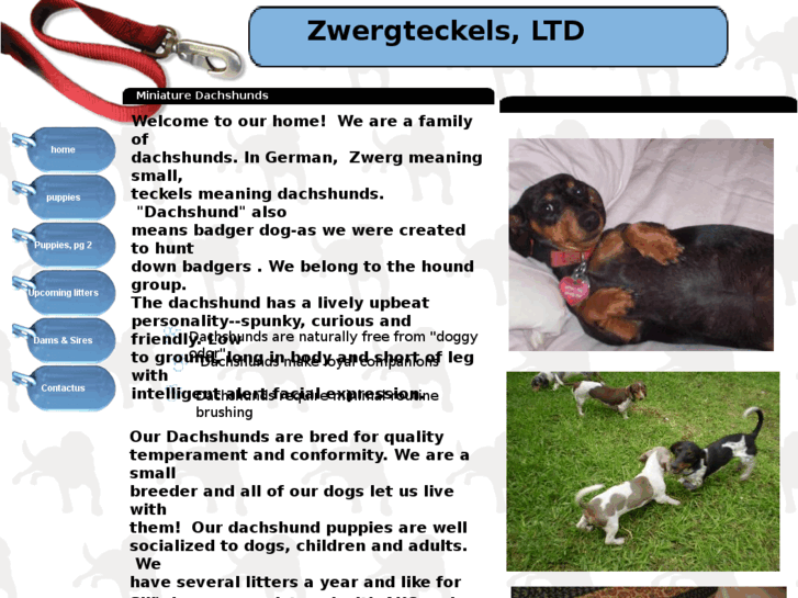 www.zwergteckelslimited.com