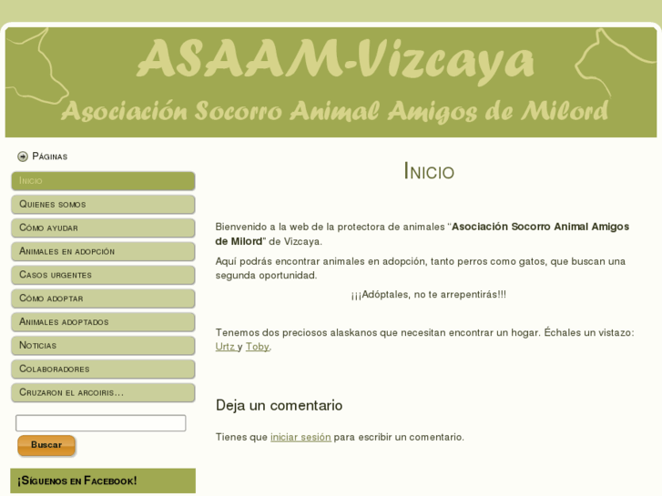 www.asaam-vizcaya.org