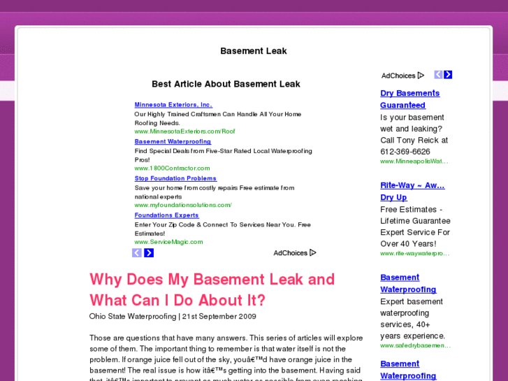 www.basementleak.org