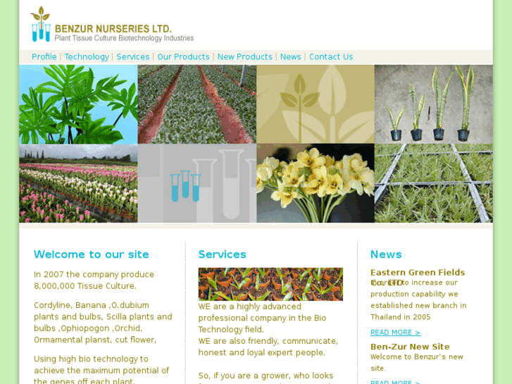 www.benzur-nursery.com