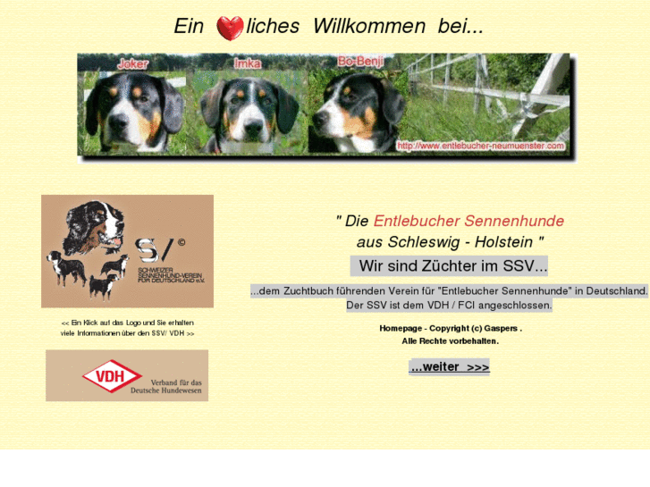 www.entlebucher-neumuenster.com