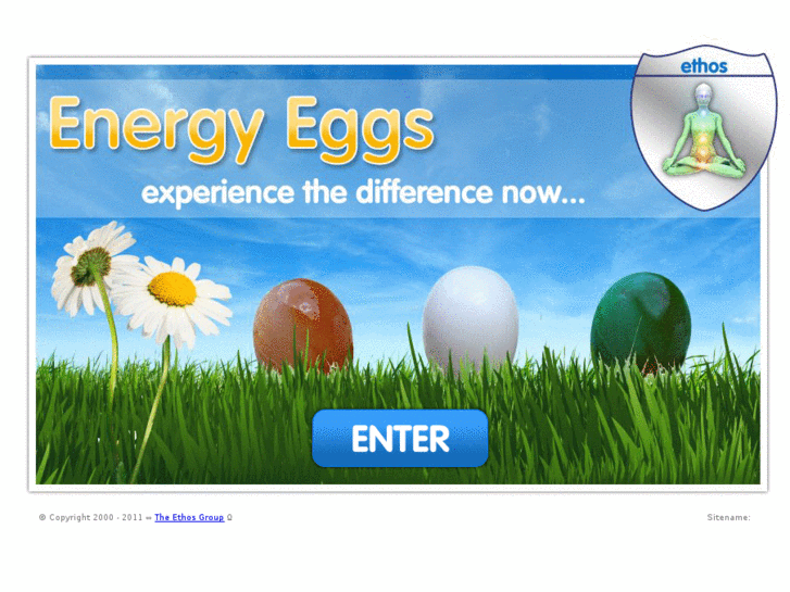 www.ethosenergyeggs.com