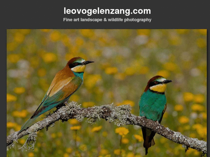 www.leovogelenzang.com