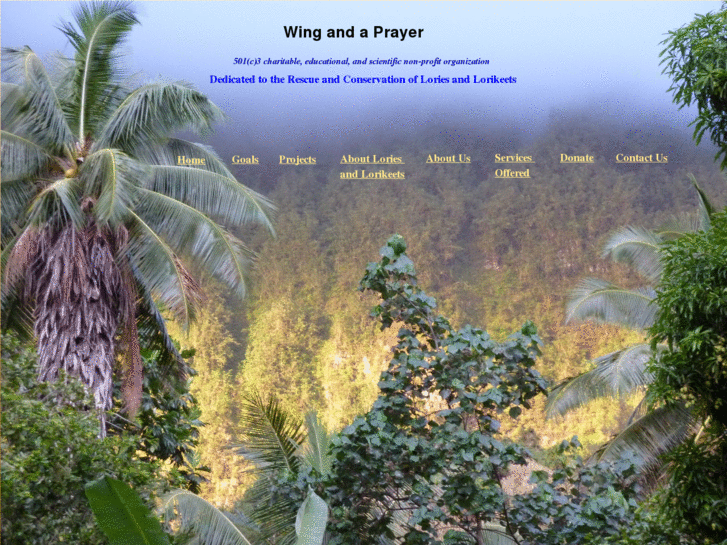 www.onawingandaprayer.net