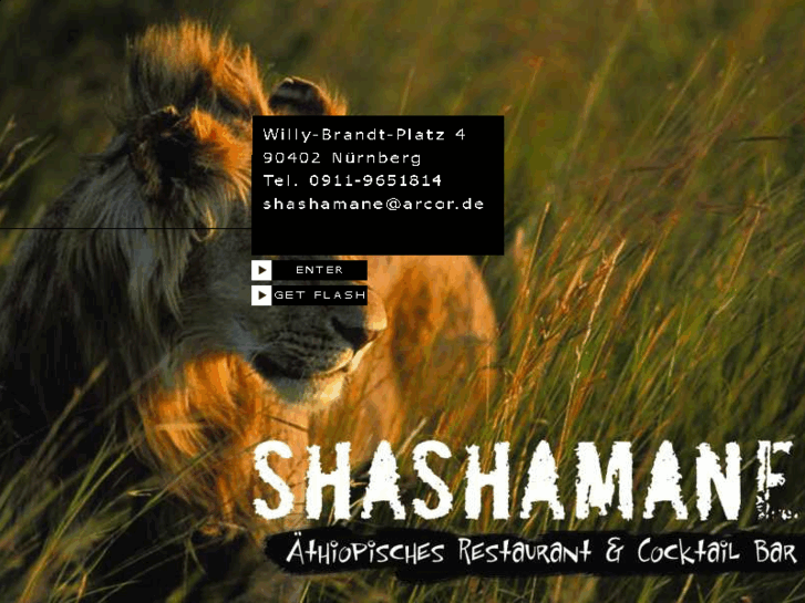 www.shashamane-reggaebar.de