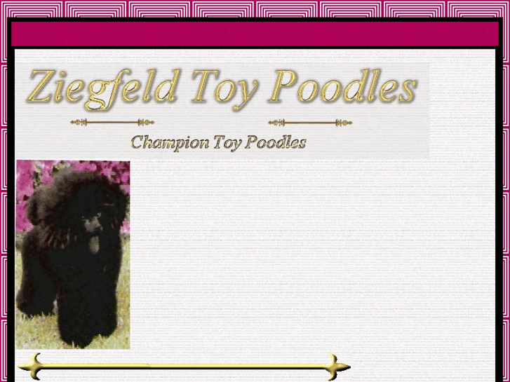 www.ziegfeldtoypoodles.com