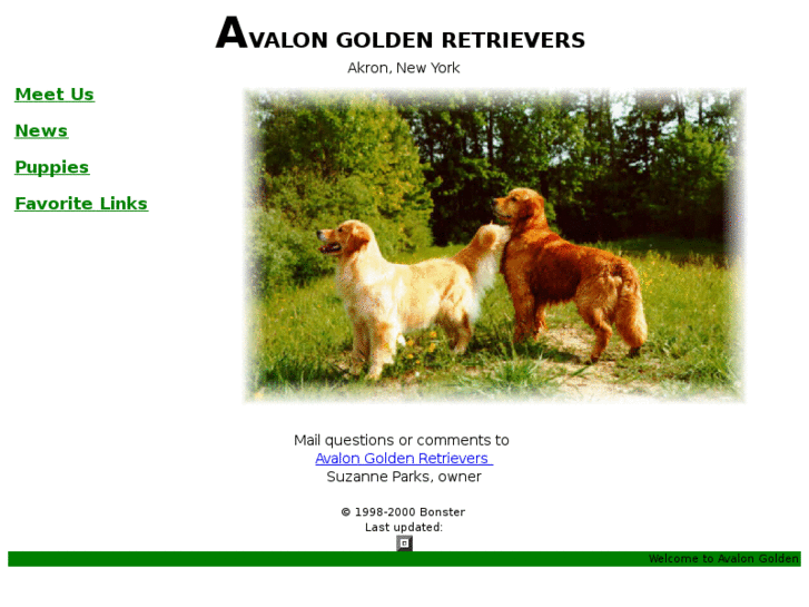 www.avalongoldens.com