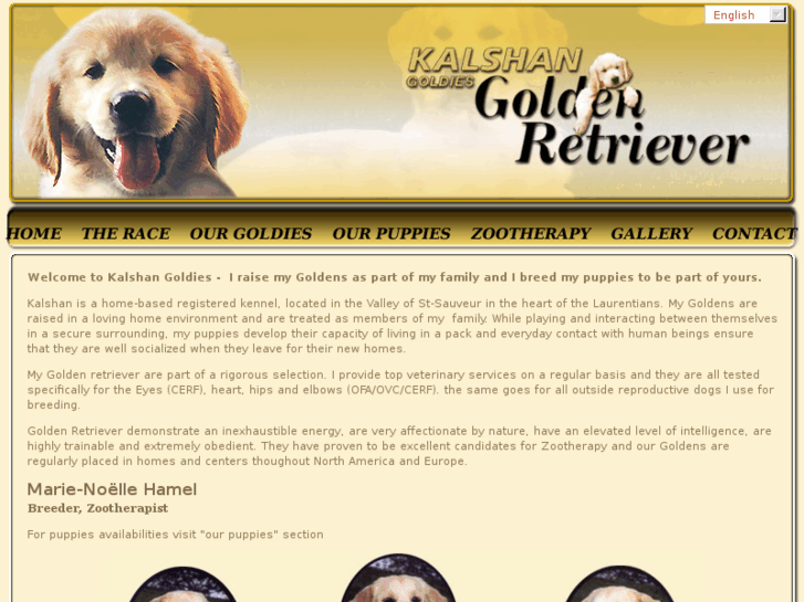 www.kalshan-goldies.com