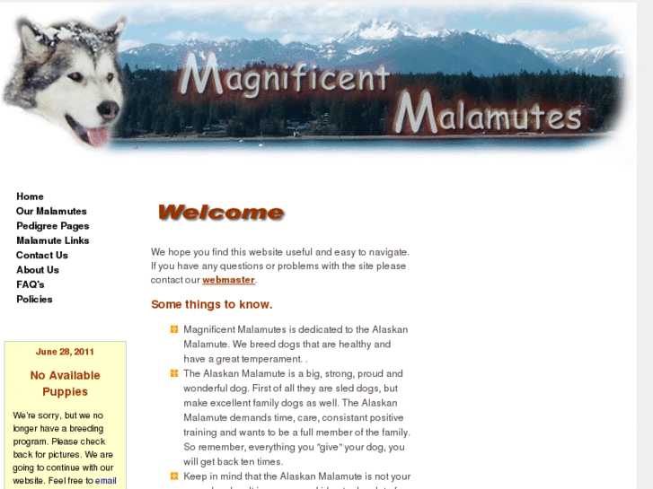 www.magnificentmalamutes.com