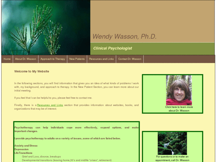 www.wendywasson.com