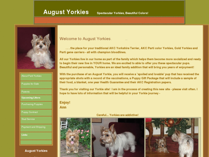 www.augustyorkies.com