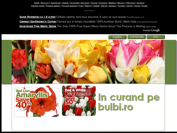 www.bulbi.ro