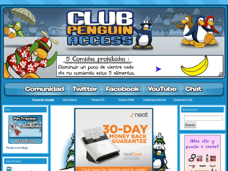 www.clubpenguinaccess.com