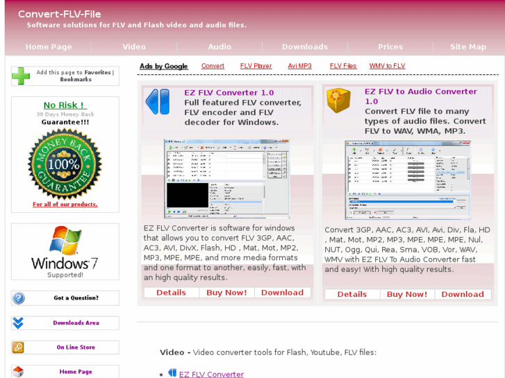 www.convert-flv-file.com