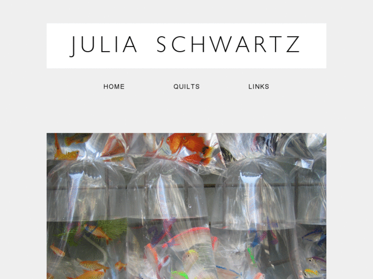 www.juliaschwartz.com