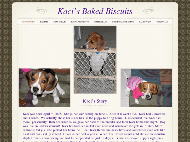 www.kacis-baked-biscuits.com