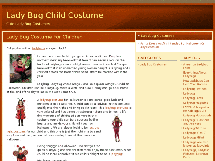 www.ladybugchildcostume.com