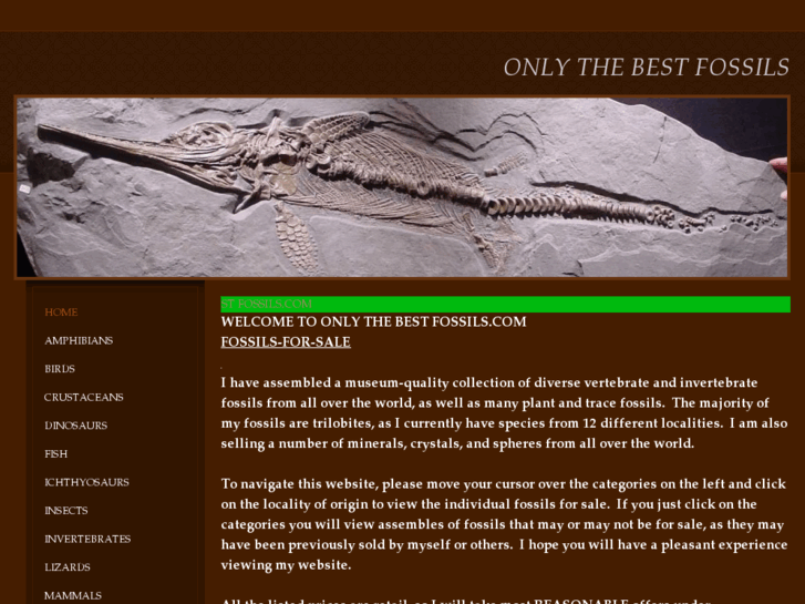 www.onlythebestfossils.com