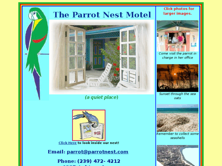 www.parrotnest.com