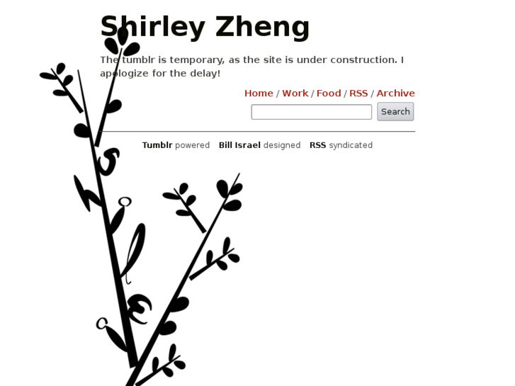 www.shirleyzheng.com