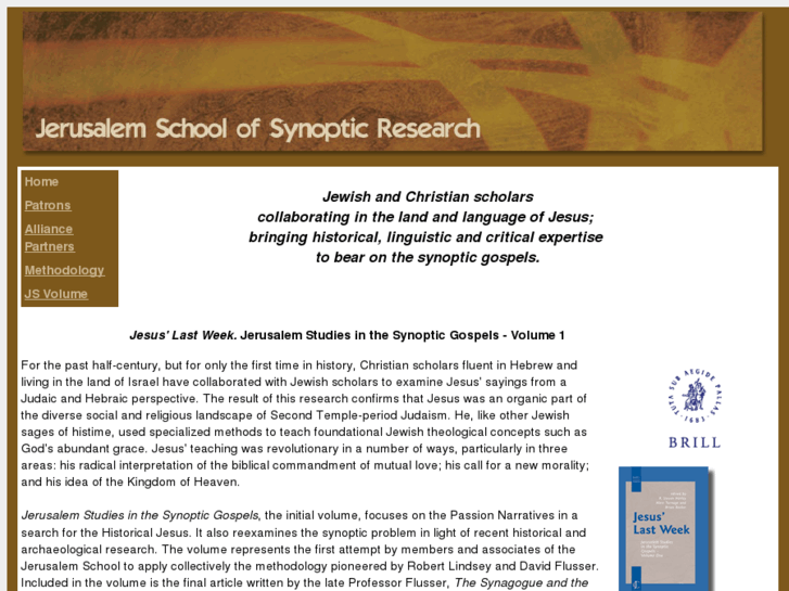 www.synopticproblem.com