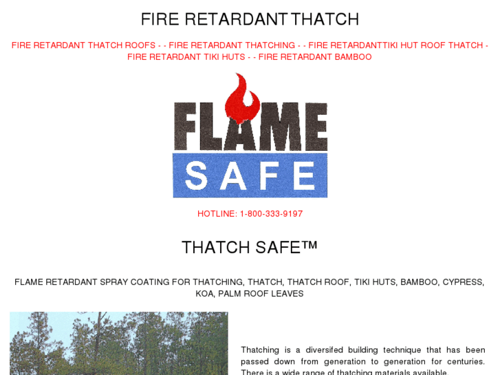 www.thatchsafe.info