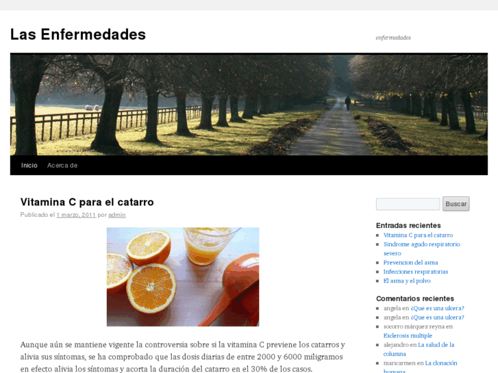 www.lasenfermedades.org