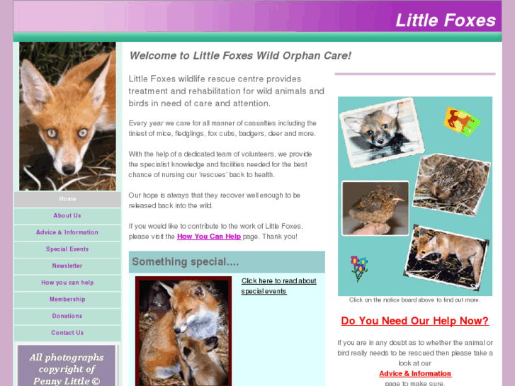 www.littlefoxes.org.uk