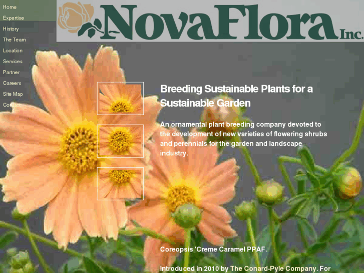 www.novaflora.com