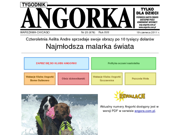 www.angorka.com.pl