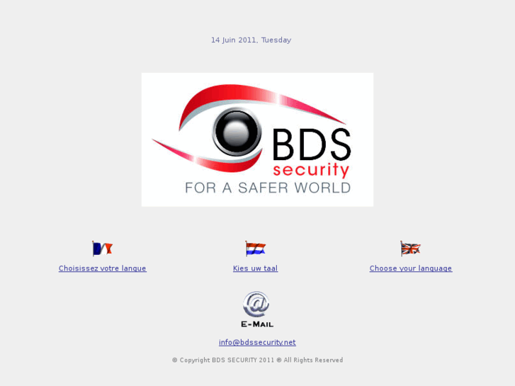 www.bdssecurity.net