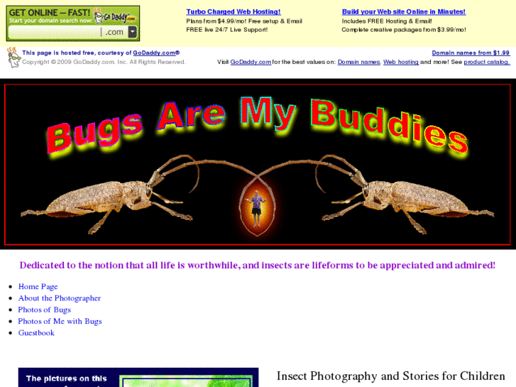 www.downeastbugs.com