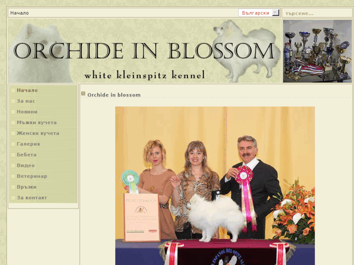 www.orchide-in-blossom.com