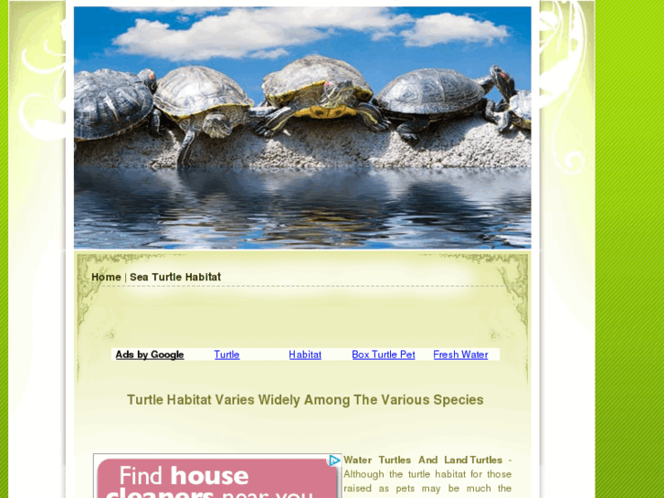 www.turtlehabitat.net