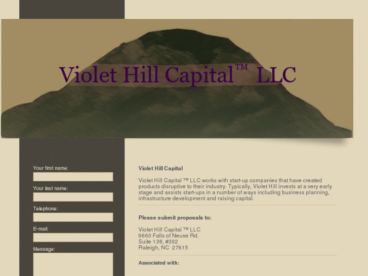 www.violethillcapital.com