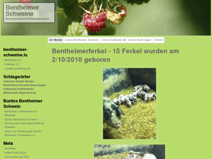 www.bentheimer-schweine.lu