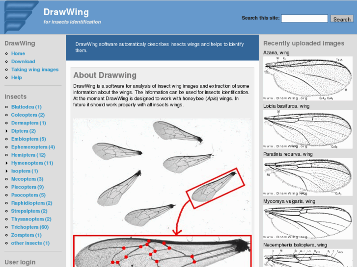 www.drawwing.org