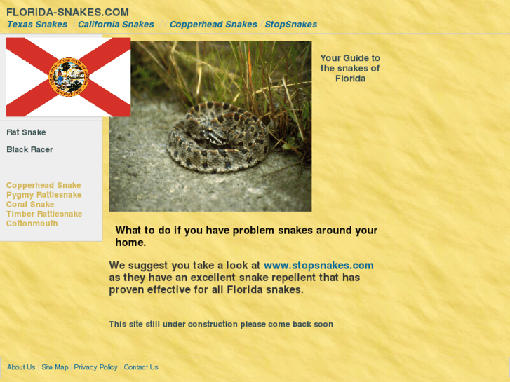 www.florida-snakes.com